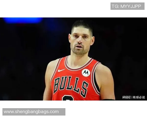 尼古拉武切维奇的艺术旅程与对现代文化的深远影响