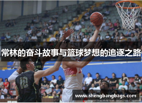 常林的奋斗故事与篮球梦想的追逐之路